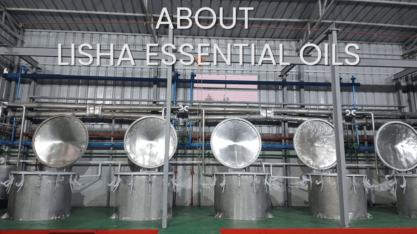 LISHA essential oils manufacturer of essential oil Egypt