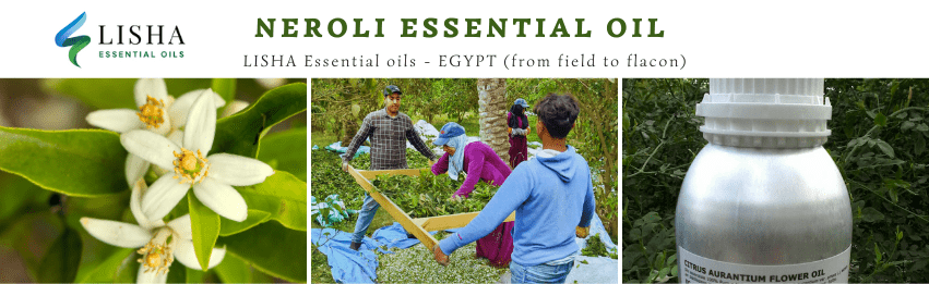 Neroli Essential oil - EGYPT by LISHA essential oils